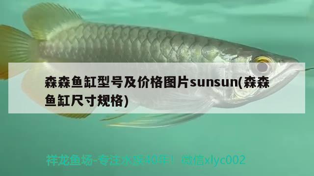 森森魚缸型號及價格圖片sunsun(森森魚缸尺寸規(guī)格) 泰國雪鯽魚