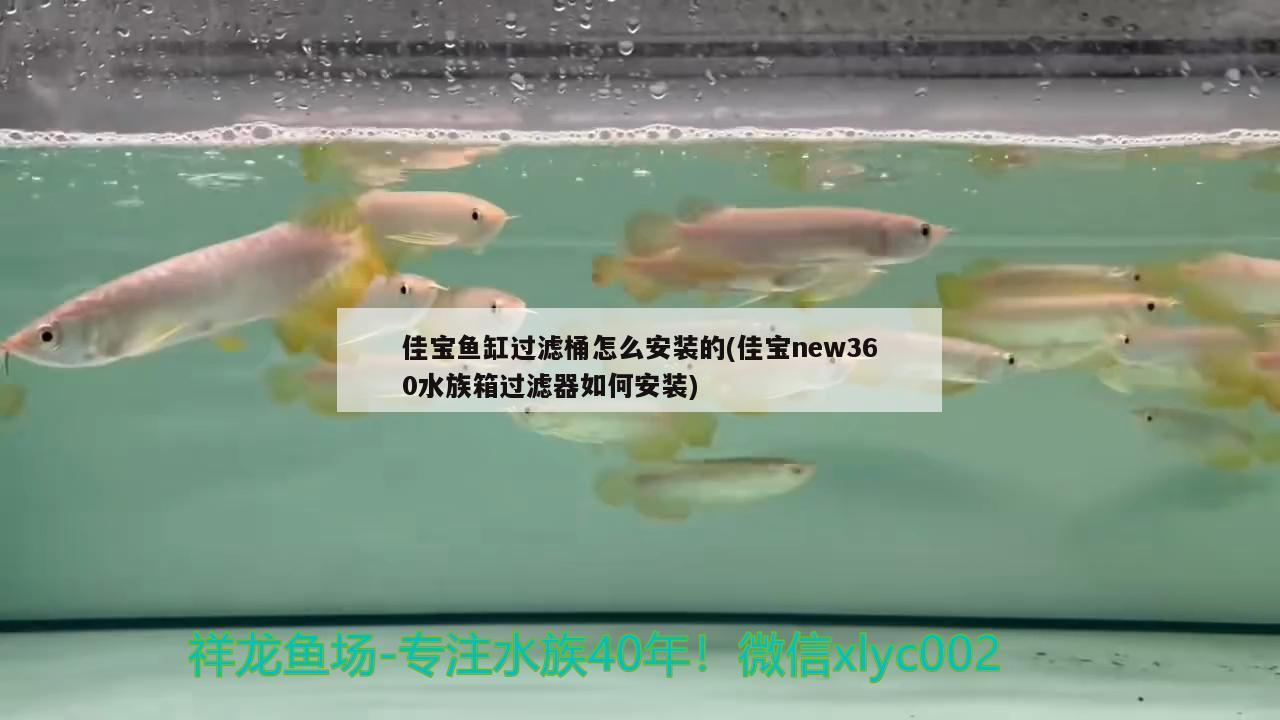 佳寶魚缸過濾桶怎么安裝的(佳寶new360水族箱過濾器如何安裝) 魚缸/水族箱