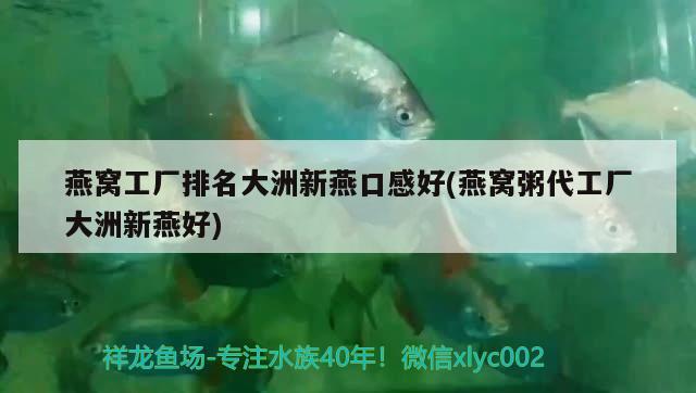 燕窩工廠排名大洲新燕口感好(燕窩粥代工廠大洲新燕好) 馬來西亞燕窩