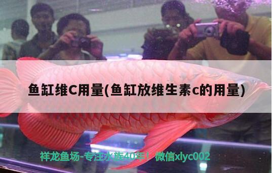 魚缸維C用量(魚缸放維生素c的用量) 狗仔招財(cái)貓魚