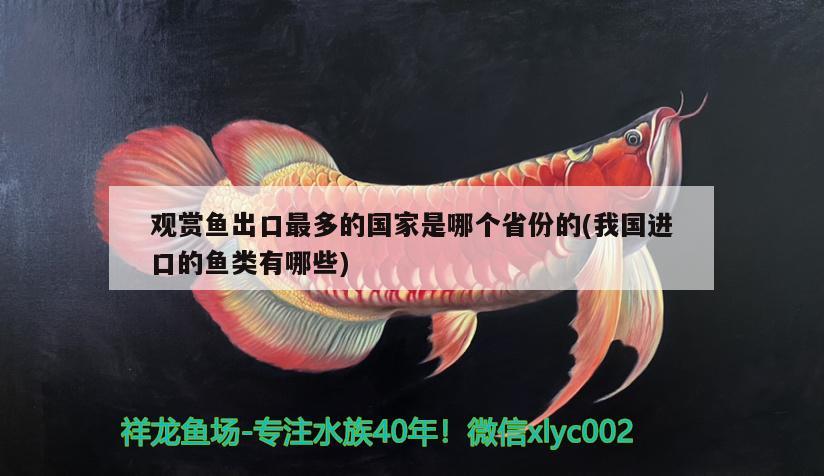 觀賞魚出口最多的國家是哪個省份的(我國進(jìn)口的魚類有哪些) 觀賞魚進(jìn)出口