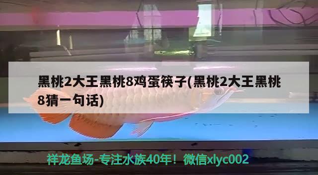 黑桃2大王黑桃8雞蛋筷子(黑桃2大王黑桃8猜一句話) 玫瑰銀版魚