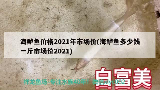 海鱸魚(yú)價(jià)格2021年市場(chǎng)價(jià)(海鱸魚(yú)多少錢(qián)一斤市場(chǎng)價(jià)2021) 魚(yú)缸水泵