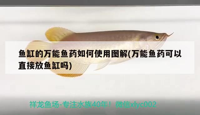 魚缸的萬能魚藥如何使用圖解(萬能魚藥可以直接放魚缸嗎)