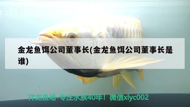 金龍魚餌公司董事長(金龍魚餌公司董事長是誰) 福滿鉆魚