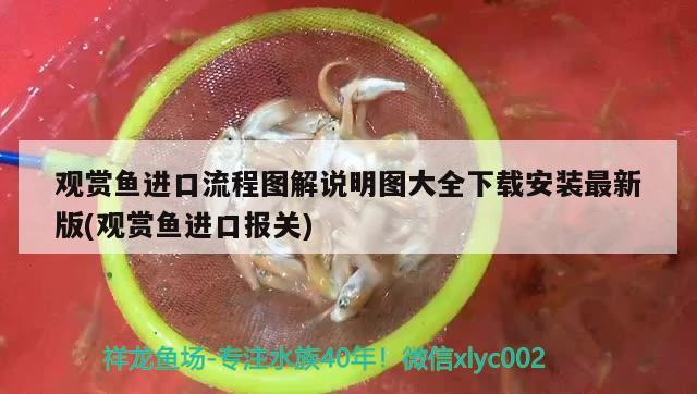 觀賞魚進(jìn)口流程圖解說(shuō)明圖大全下載安裝最新版(觀賞魚進(jìn)口報(bào)關(guān)) 觀賞魚進(jìn)出口