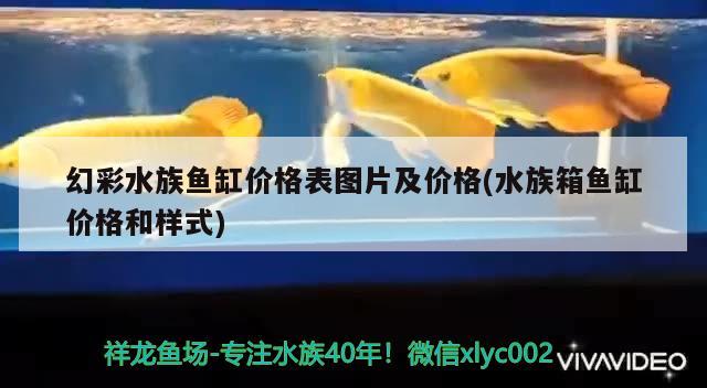 幻彩水族魚缸價格表圖片及價格(水族箱魚缸價格和樣式) 魚缸/水族箱