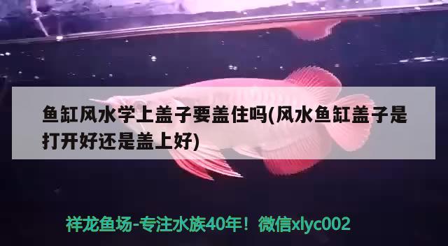 魚(yú)缸風(fēng)水學(xué)上蓋子要蓋住嗎(風(fēng)水魚(yú)缸蓋子是打開(kāi)好還是蓋上好) 魚(yú)缸風(fēng)水