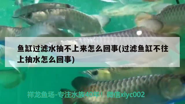 魚缸過濾水抽不上來怎么回事(過濾魚缸不往上抽水怎么回事) 大正錦鯉魚