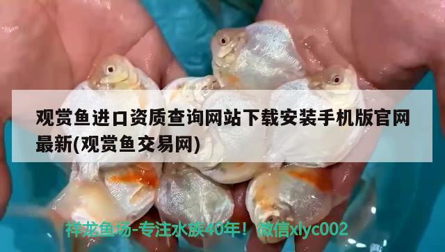 觀賞魚進(jìn)口資質(zhì)查詢網(wǎng)站下載安裝手機(jī)版官網(wǎng)最新(觀賞魚交易網(wǎng)) 觀賞魚進(jìn)出口