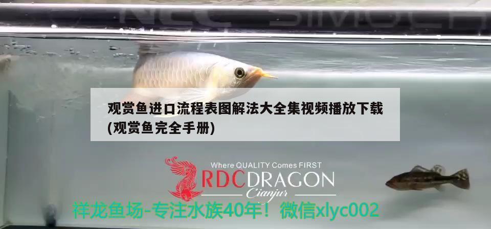 觀賞魚進(jìn)口流程表圖解法大全集視頻播放下載(觀賞魚完全手冊(cè)) 觀賞魚進(jìn)出口