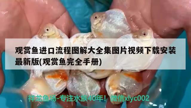 觀賞魚(yú)進(jìn)口流程圖解大全集圖片視頻下載安裝最新版(觀賞魚(yú)完全手冊(cè))