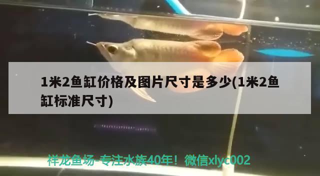 1米2魚缸價格及圖片尺寸是多少(1米2魚缸標準尺寸) 大湖紅龍魚