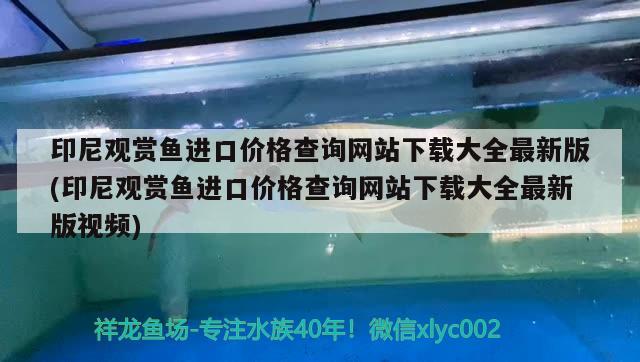 印尼觀賞魚進(jìn)口價格查詢網(wǎng)站下載大全最新版(印尼觀賞魚進(jìn)口價格查詢網(wǎng)站下載大全最新版視頻) 觀賞魚進(jìn)出口