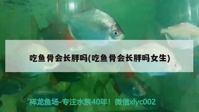 吃魚骨會長胖嗎(吃魚骨會長胖嗎女生) 水溫計 第2張