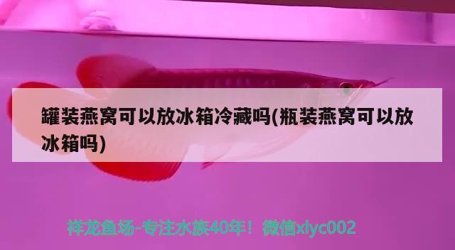 罐裝燕窩可以放冰箱冷藏嗎(瓶裝燕窩可以放冰箱嗎) 馬來西亞燕窩