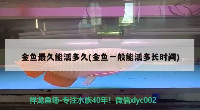 金魚(yú)最久能活多久(金魚(yú)一般能活多長(zhǎng)時(shí)間) 魚(yú)缸定做