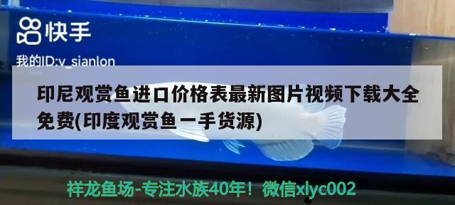 印尼觀賞魚進口價格表最新圖片視頻下載大全免費(印度觀賞魚一手貨源) 觀賞魚進出口