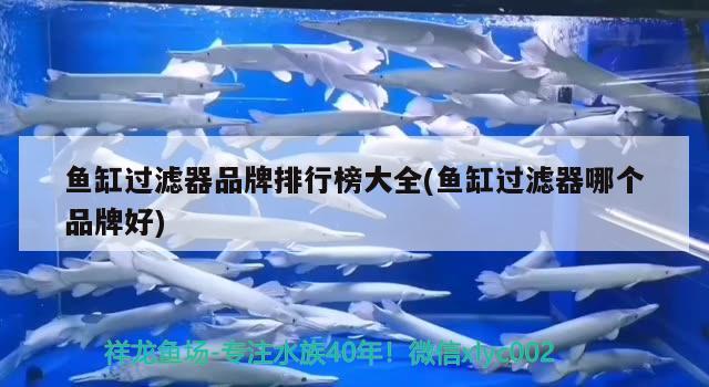 魚缸過濾器品牌排行榜大全(魚缸過濾器哪個品牌好)