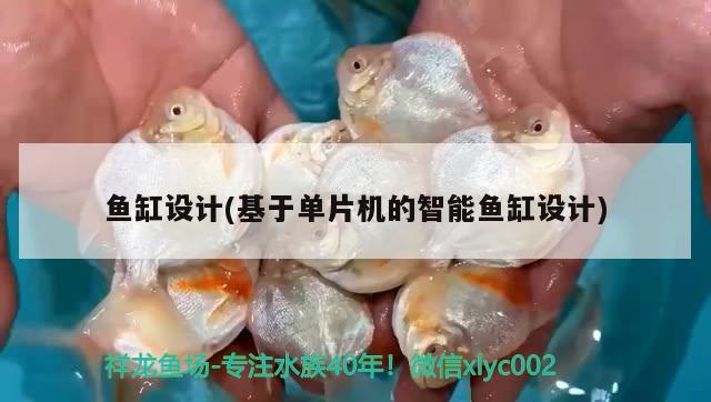 魚(yú)缸設(shè)計(jì)(基于單片機(jī)的智能魚(yú)缸設(shè)計(jì)) 黃金斑馬魚(yú)