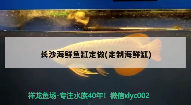 長(zhǎng)沙海鮮魚(yú)缸定做(定制海鮮缸)