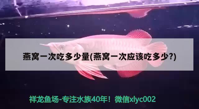 燕窩一次吃多少量(燕窩一次應該吃多少?) 馬來西亞燕窩