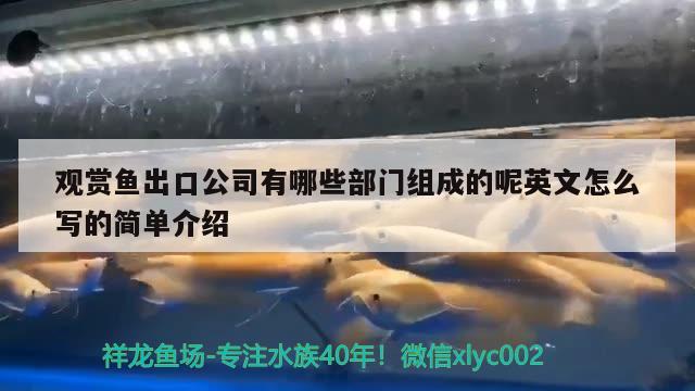 觀賞魚(yú)出口公司有哪些部門(mén)組成的呢英文怎么寫(xiě)的簡(jiǎn)單介紹 觀賞魚(yú)進(jìn)出口