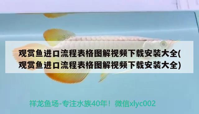 觀賞魚進(jìn)口流程表格圖解視頻下載安裝大全(觀賞魚進(jìn)口流程表格圖解視頻下載安裝大全) 觀賞魚進(jìn)出口