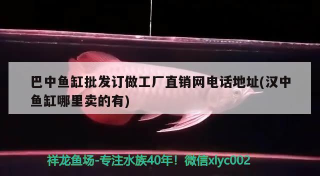 巴中魚缸批發(fā)訂做工廠直銷網(wǎng)電話地址(漢中魚缸哪里賣的有) 白子銀龍魚苗