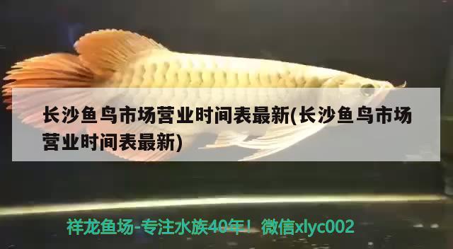 長沙魚鳥市場營業(yè)時間表最新(長沙魚鳥市場營業(yè)時間表最新)