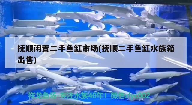 撫順閑置二手魚(yú)缸市場(chǎng)(撫順二手魚(yú)缸水族箱出售) 魚(yú)缸/水族箱