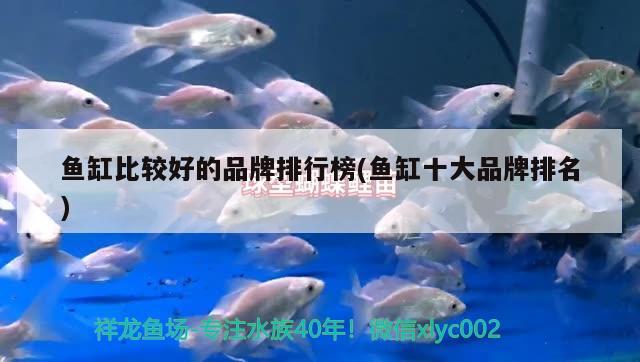 魚缸比較好的品牌排行榜(魚缸十大品牌排名) 印尼虎苗