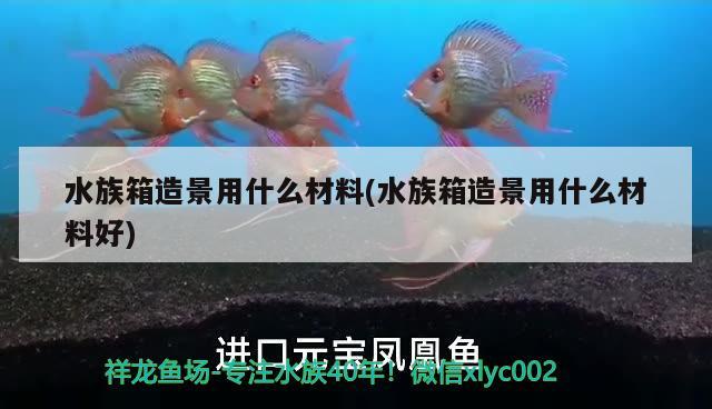 水族箱造景用什么材料(水族箱造景用什么材料好) 魚缸/水族箱