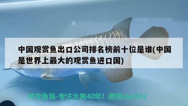 中國觀賞魚出口公司排名榜前十位是誰(中國是世界上最大的觀賞魚進(jìn)口國)