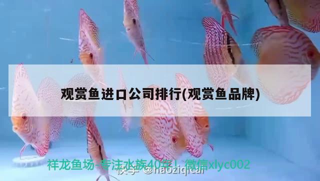 觀賞魚進口公司排行(觀賞魚品牌) 觀賞魚進出口