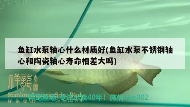 魚缸水泵軸心什么材質(zhì)好(魚缸水泵不銹鋼軸心和陶瓷軸心壽命相差大嗎) 魚缸水泵