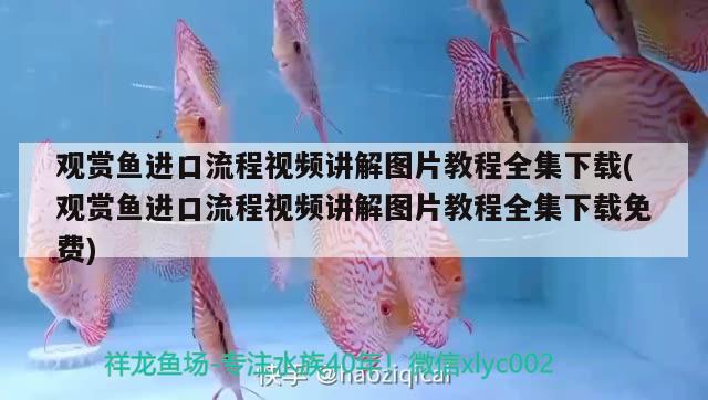 觀賞魚進(jìn)口流程視頻講解圖片教程全集下載(觀賞魚進(jìn)口流程視頻講解圖片教程全集下載免費(fèi)) 觀賞魚進(jìn)出口