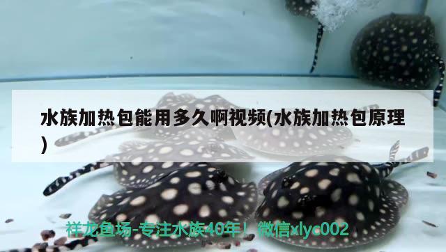 水族加熱包能用多久啊視頻(水族加熱包原理) 細線銀版魚