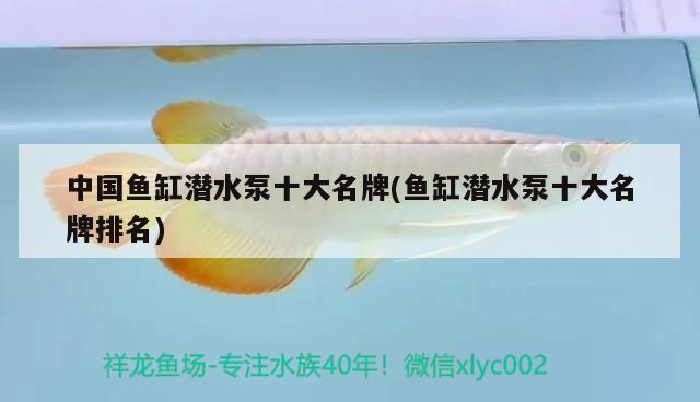 中國魚缸潛水泵十大名牌(魚缸潛水泵十大名牌排名) 狗頭魚 第2張