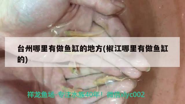 臺(tái)州哪里有做魚缸的地方(椒江哪里有做魚缸的) 月光鴨嘴魚