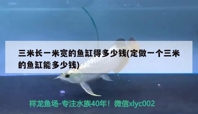 三米長(zhǎng)一米寬的魚(yú)缸得多少錢(qián)(定做一個(gè)三米的魚(yú)缸能多少錢(qián)) 白子紅龍魚(yú)