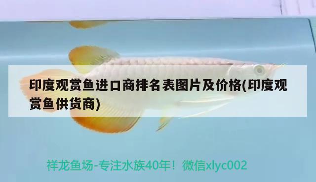 印度觀賞魚進(jìn)口商排名表圖片及價(jià)格(印度觀賞魚供貨商)