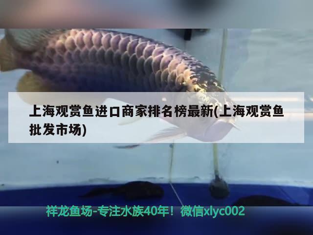 上海觀賞魚進(jìn)口商家排名榜最新(上海觀賞魚批發(fā)市場(chǎng)) 觀賞魚進(jìn)出口