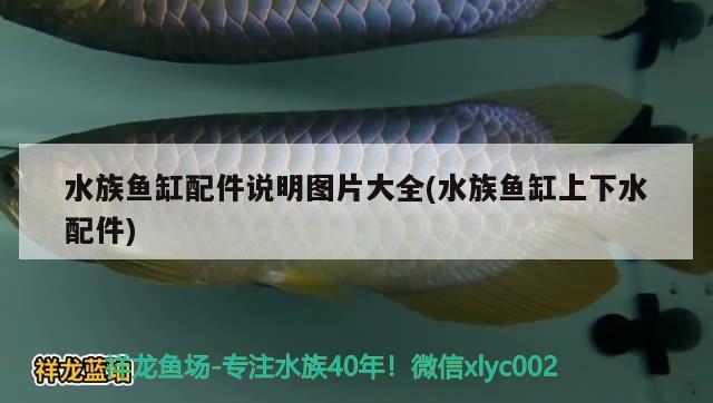 水族魚(yú)缸配件說(shuō)明圖片大全(水族魚(yú)缸上下水配件)