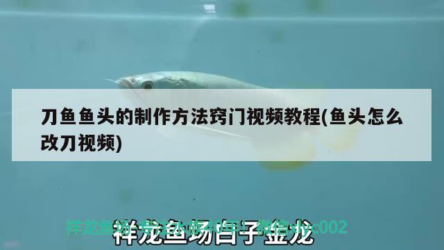 刀魚魚頭的制作方法竅門視頻教程(魚頭怎么改刀視頻) 刀魚魚