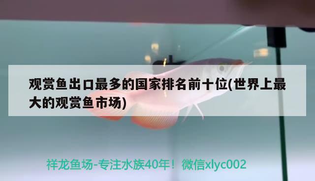 觀賞魚出口最多的國(guó)家排名前十位(世界上最大的觀賞魚市場(chǎng)) 觀賞魚進(jìn)出口