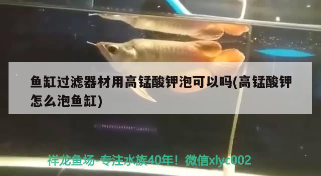 魚缸過濾器材用高錳酸鉀泡可以嗎(高錳酸鉀怎么泡魚缸)