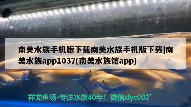 南美水族手機版下載南美水族手機版下載南美水族app1037(南美水族館app)