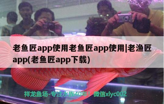 老魚匠app使用老魚匠app使用|老漁匠app(老魚匠app下載) 老魚匠