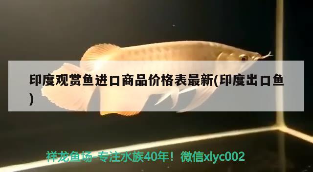 印度觀賞魚進口商品價格表最新(印度出口魚) 觀賞魚進出口